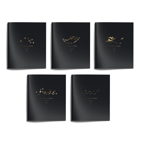 Тетрадь 48л. кл. LXCBCL-DDA Золото на черном "Дава"