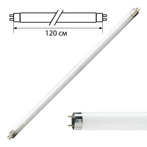 Лампа люминесцентая PHILIPS 36W/54-765,36вт,120см, холодный дневной свет/450768 "Дава"