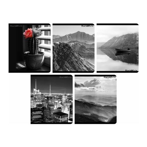 Тетрадь 48л. кл. 4824-45 Черно-белые 1 "Дава"